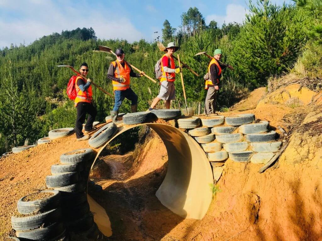 Vols NGAAPUHI CHALLENGE